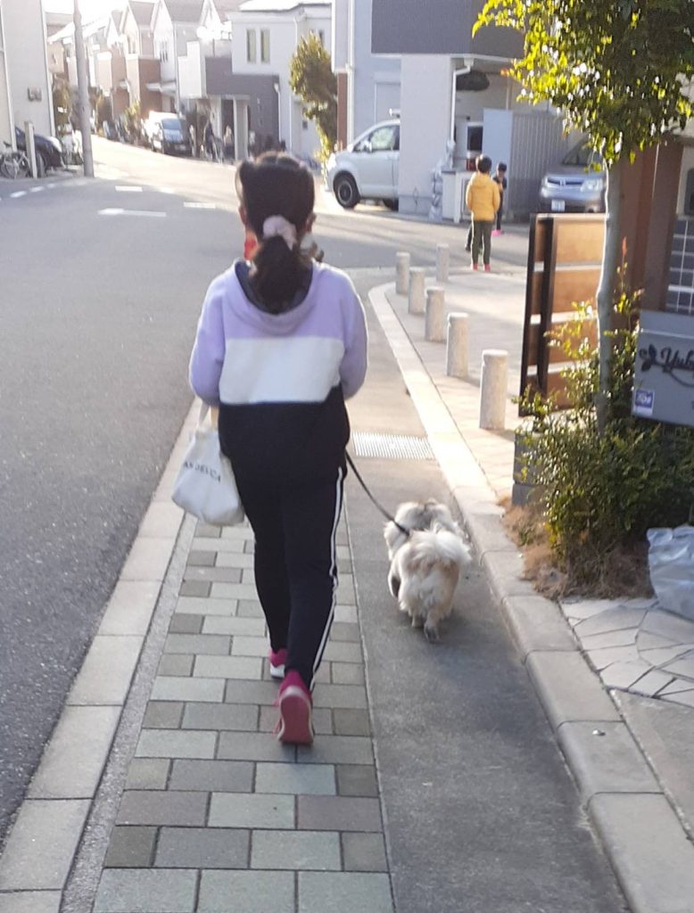 猪ノ口さんの娘さん　散歩イメージ