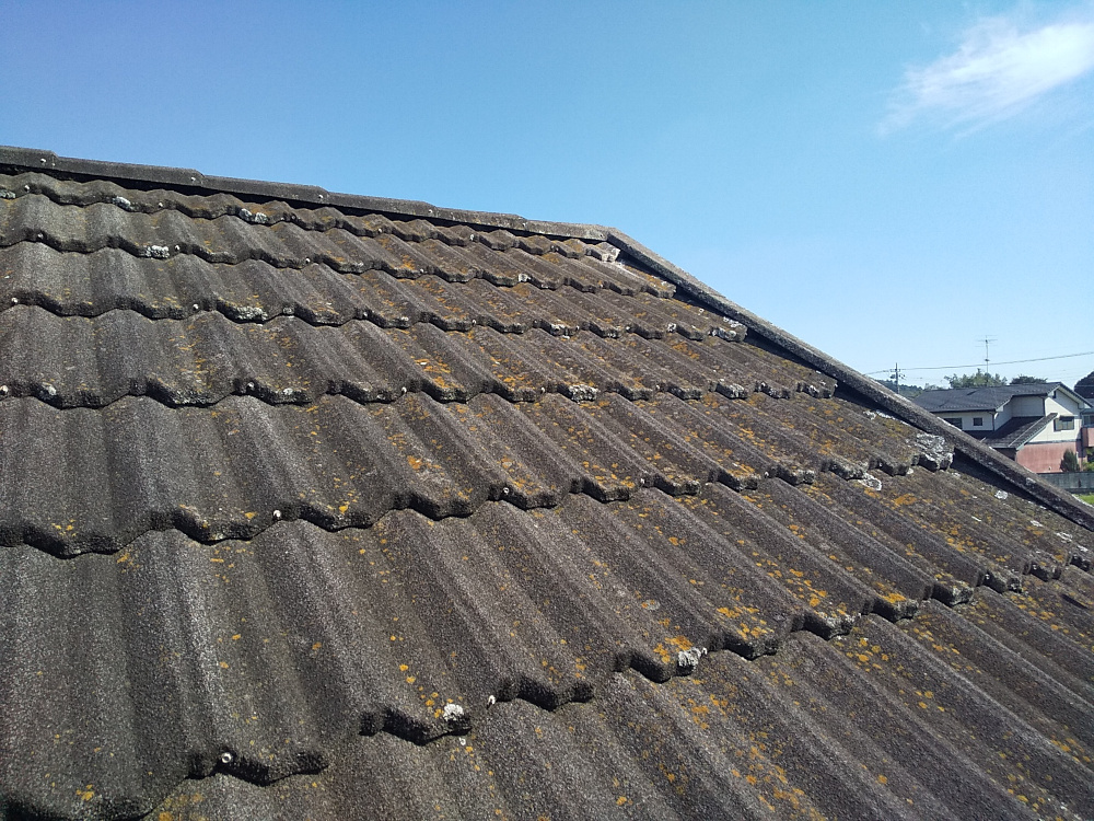 高崎支店H様邸屋根洗浄
